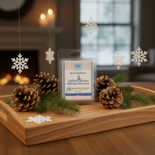 Winter Solstice ~ Scented Melting Wax Tarts